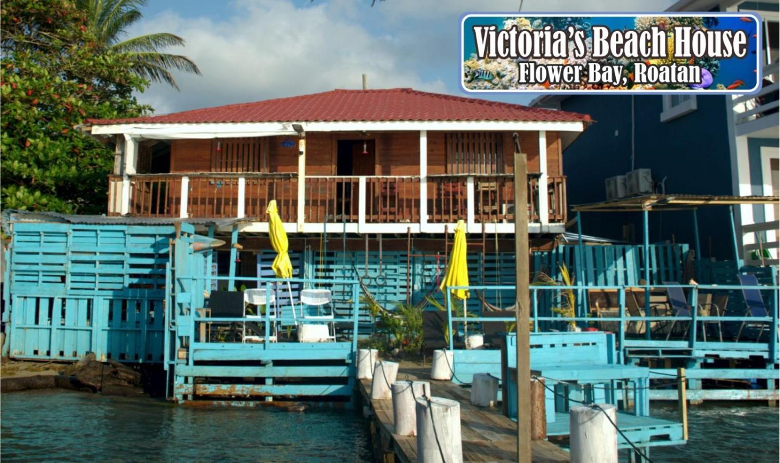 Victoria S Beach House And Snorkeling Center Flowers Bay Екстер'єр фото